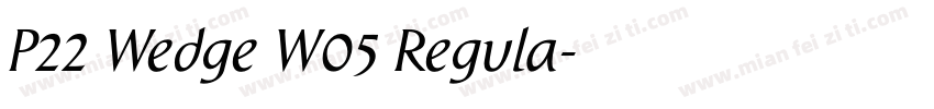 P22 Wedge W05 Regula字体转换